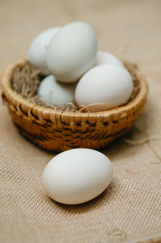 Farm Fresh Eggs